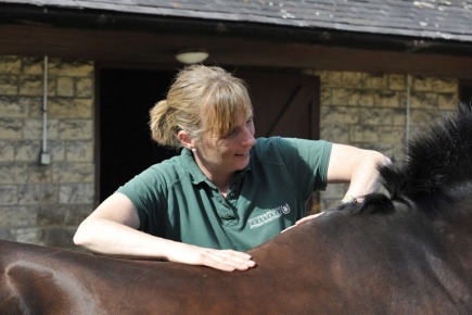 Does Your Horse Suffer With Back Pain?